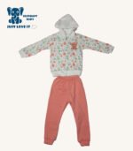 Baby Hooded Jacket and Pants Set