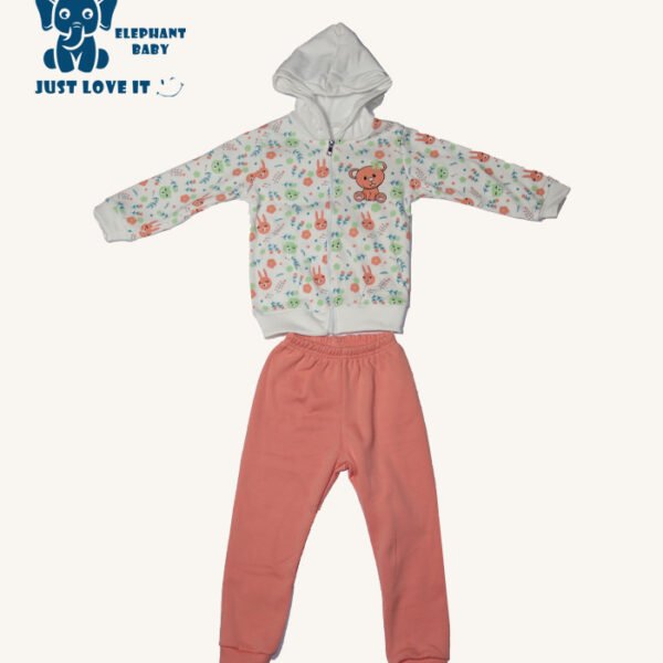 Baby Hooded Jacket and Pants Set